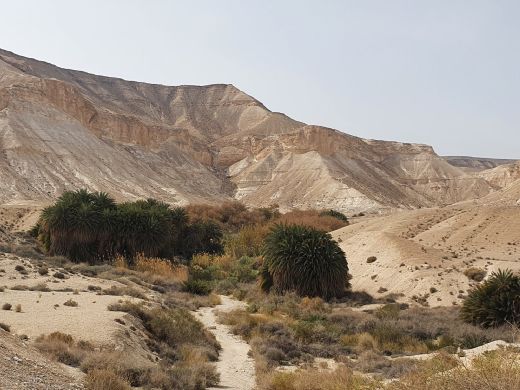 מעין שביב דרך מחפורות הצינים לעין חווה